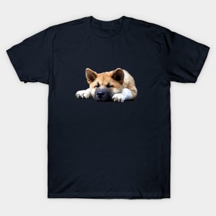 Akita Puppy Akita Inu Puppy Dog T-Shirt